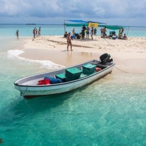 Paradise Safari Blue Adventure (Private)