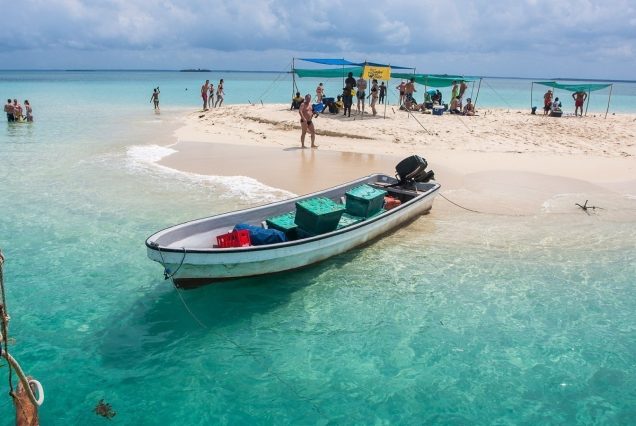 Paradise Safari Blue Adventure (Private)