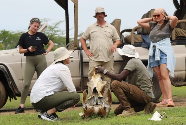 1-Day Private Safari at Nyerere NP Flying from Zanzibar
